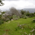 Pèlerinage en Terre Sainte - 3/10 Mars 2020