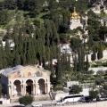 Pèlerinage en Terre Sainte - 3/10 Mars 2020