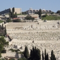 Pèlerinage en Terre Sainte - 3/10 Mars 2020