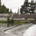 Pèlerinage Polonais des Hauts de France à Lourdes du 4 au 11 Octobre 2021 - Accueil des pèlerins et Anniversaire de Annick