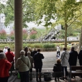 Pèlerinage Polonais des Hauts de France à Lourdes du 4 au 11 Octobre 2021 - Accueil des pèlerins et Anniversaire de Annick