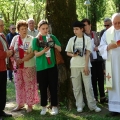 Pielgrzymka do Lourdes od 6 do 13 Maja 2024